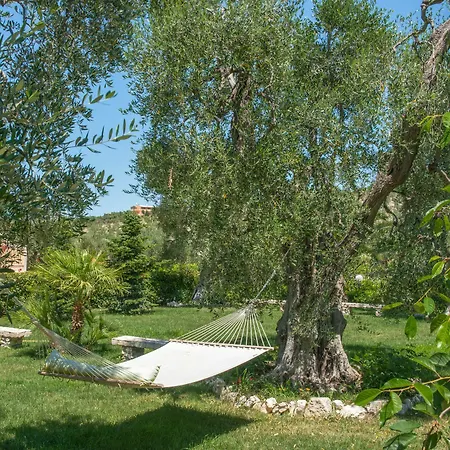 Fenice לינה וארוחת בוקר